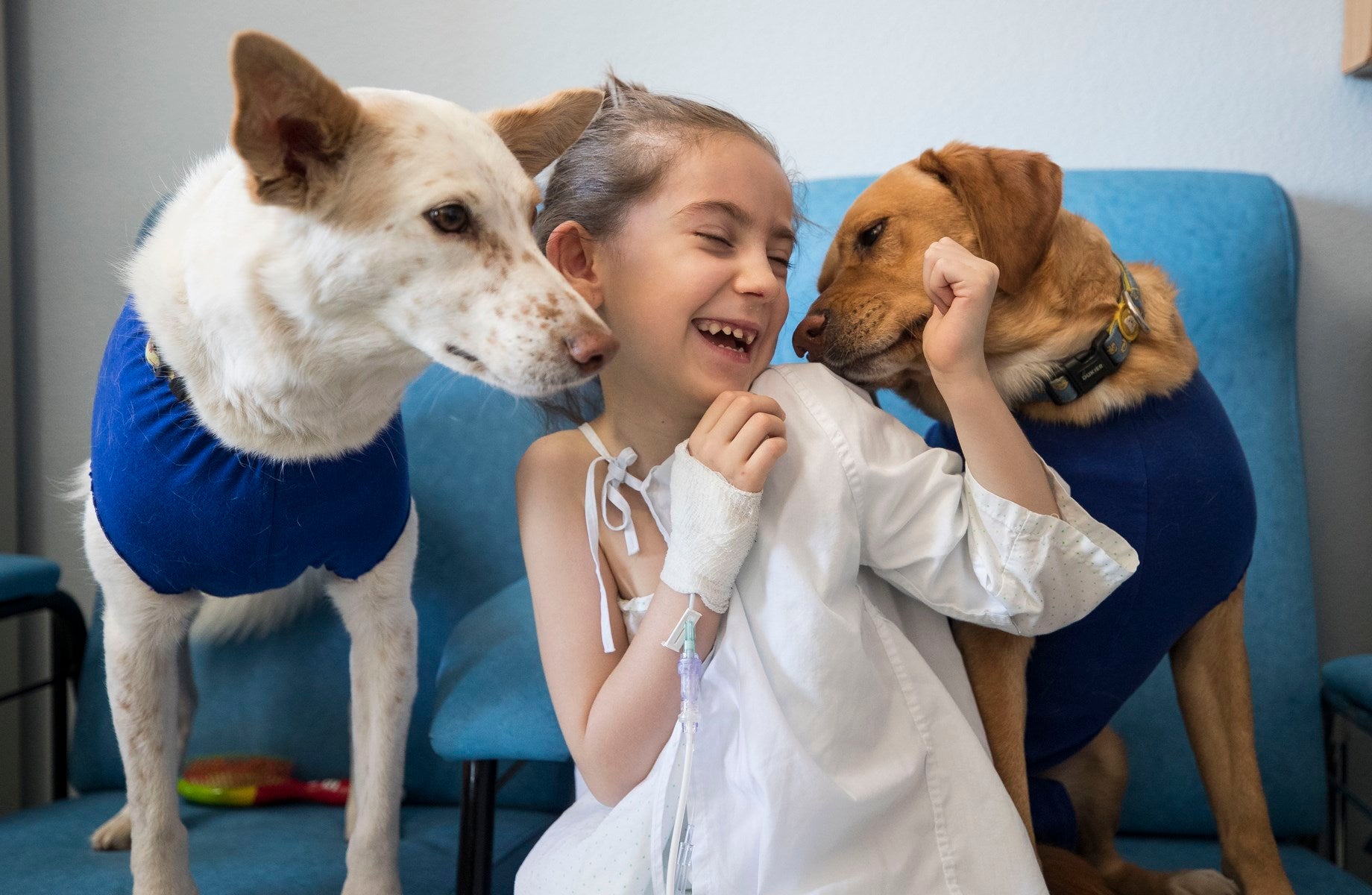 Parcitipan en sesiones de terapia individualizada de 45 minutos cada martes con niños de las unidades de Oncología y Cirugía Infantil del Materno-Infantil del Virgen de las Nieves