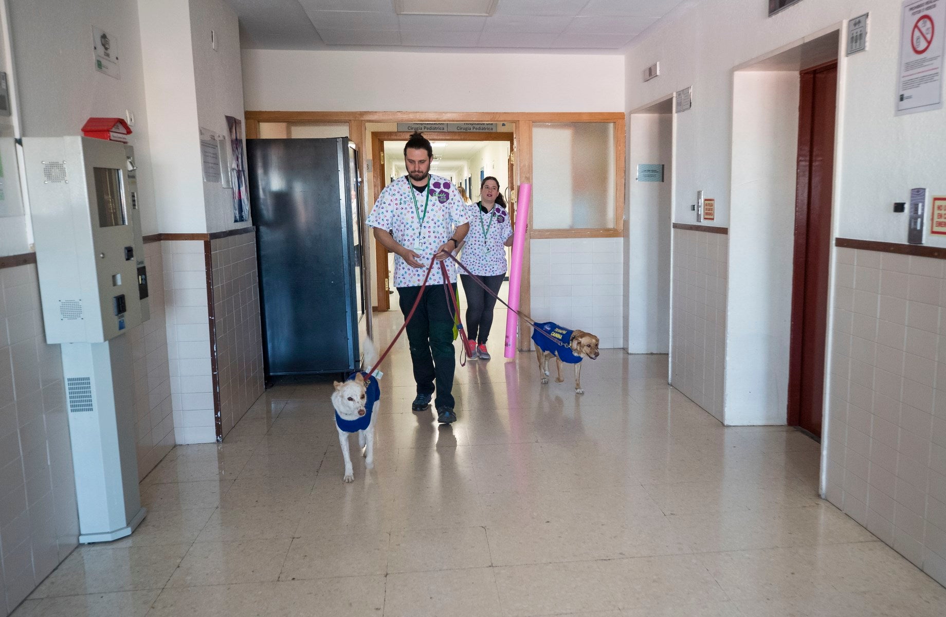 Parcitipan en sesiones de terapia individualizada de 45 minutos cada martes con niños de las unidades de Oncología y Cirugía Infantil del Materno-Infantil del Virgen de las Nieves