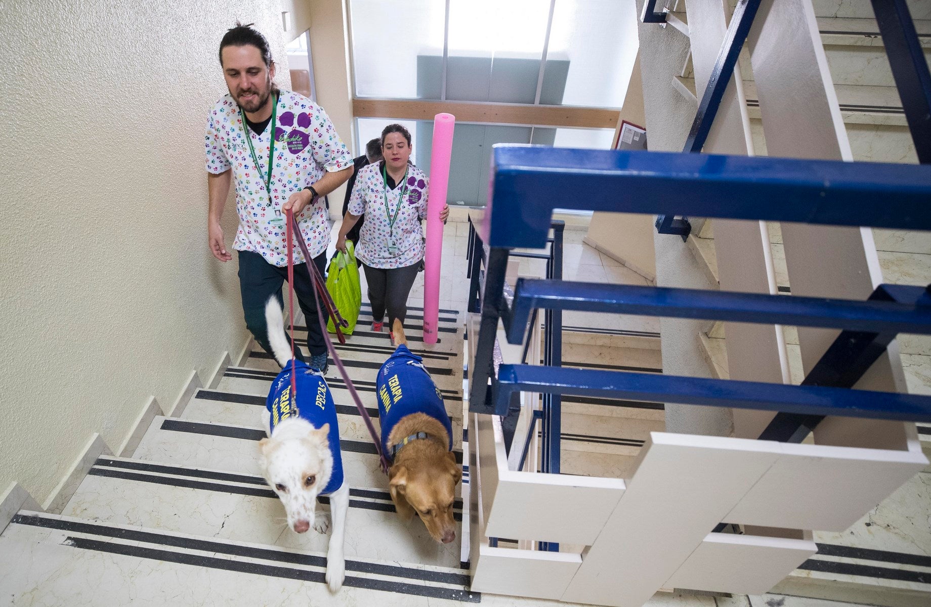 Parcitipan en sesiones de terapia individualizada de 45 minutos cada martes con niños de las unidades de Oncología y Cirugía Infantil del Materno-Infantil del Virgen de las Nieves