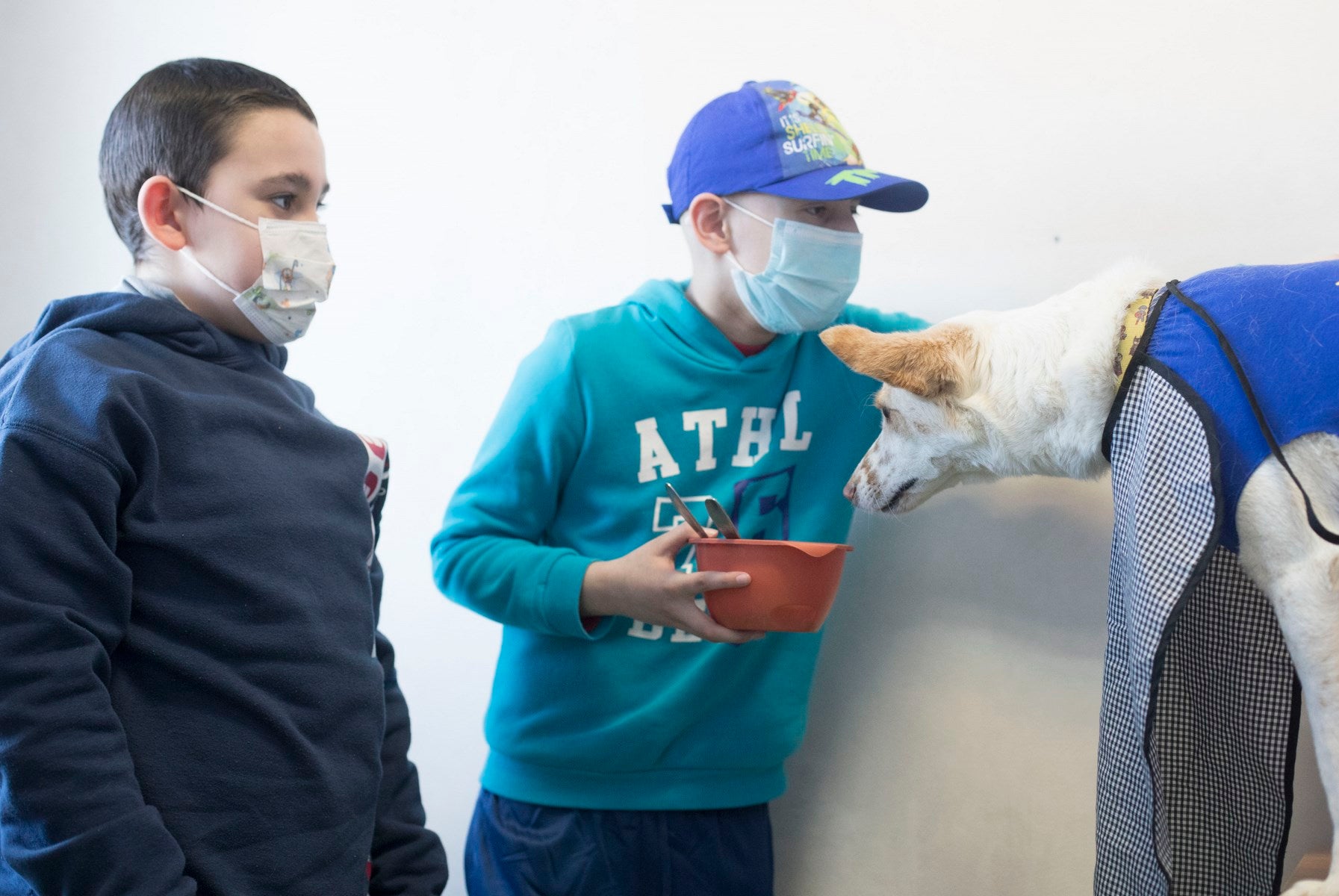 Parcitipan en sesiones de terapia individualizada de 45 minutos cada martes con niños de las unidades de Oncología y Cirugía Infantil del Materno-Infantil del Virgen de las Nieves