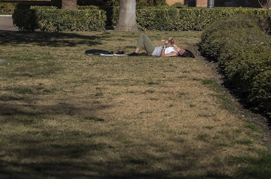 El mercurio anda revuelto en los primeros días de febrero y el buen tiempo está dejando estampas propias de la primavera en toda la provincia, sobre todo a mediodía. La temperaturas varían tanto en apenas unas horas que la ropa de abrigo de la mañana sobra a la hora de comer. Algunos no han desaprovechado para tumbarse al sol en algunos puntos de la capital granadina... ¡en manga corta!