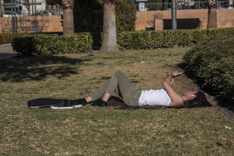 El mercurio anda revuelto en los primeros días de febrero y el buen tiempo está dejando estampas propias de la primavera en toda la provincia, sobre todo a mediodía. La temperaturas varían tanto en apenas unas horas que la ropa de abrigo de la mañana sobra a la hora de comer. Algunos no han desaprovechado para tumbarse al sol en algunos puntos de la capital granadina... ¡en manga corta!