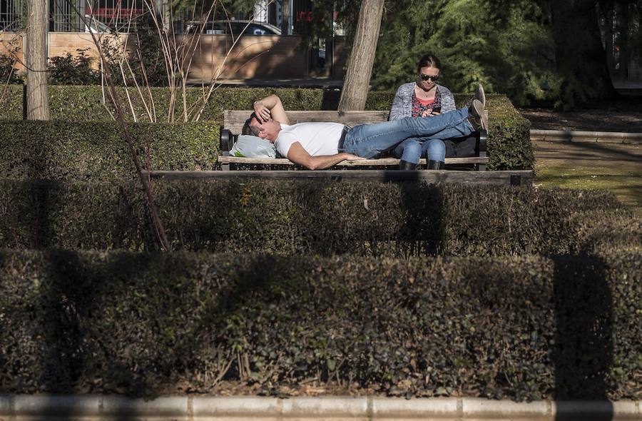 El mercurio anda revuelto en los primeros días de febrero y el buen tiempo está dejando estampas propias de la primavera en toda la provincia, sobre todo a mediodía. La temperaturas varían tanto en apenas unas horas que la ropa de abrigo de la mañana sobra a la hora de comer. Algunos no han desaprovechado para tumbarse al sol en algunos puntos de la capital granadina... ¡en manga corta!