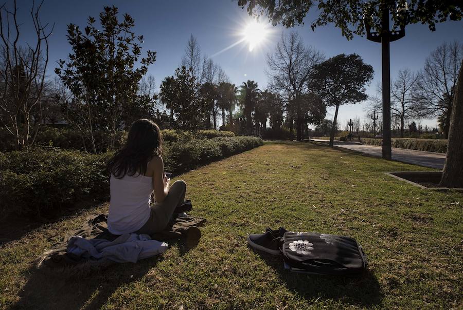 El mercurio anda revuelto en los primeros días de febrero y el buen tiempo está dejando estampas propias de la primavera en toda la provincia, sobre todo a mediodía. La temperaturas varían tanto en apenas unas horas que la ropa de abrigo de la mañana sobra a la hora de comer. Algunos no han desaprovechado para tumbarse al sol en algunos puntos de la capital granadina... ¡en manga corta!