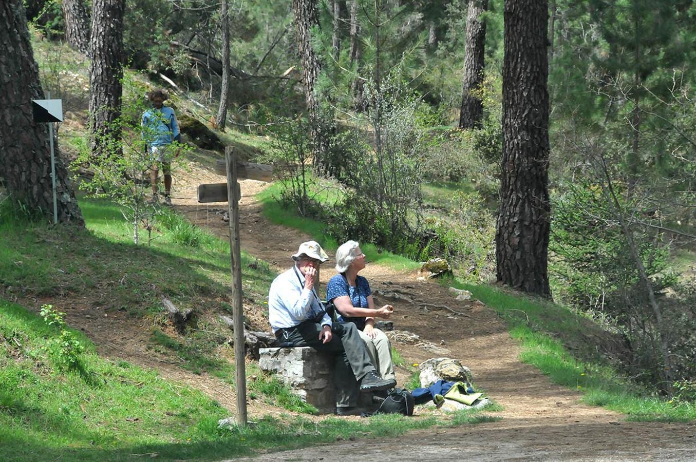 ¡La Umbría. Desde Puerto Lobo parte un carril que comunica Alfacar por el interior de la sierra y el sendero de la Umbría que lleva a la Cruz de Víznar, una ruta para todas las edades