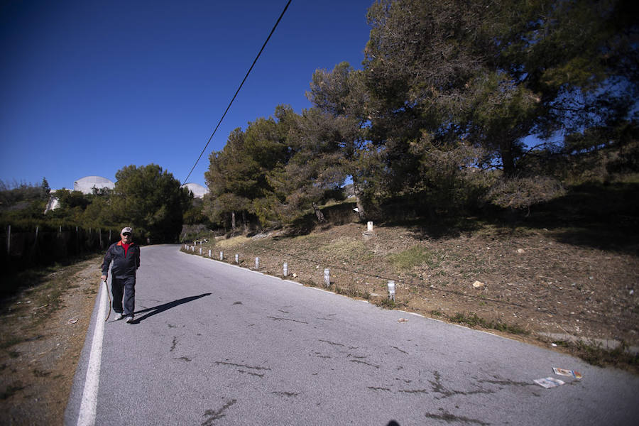 Ayuntamientos costeros como Salobreña y Motril actúan para tratar de contener el avance de esta oruga tóxica desde los pinares de los montes públicos hasta las ciudades