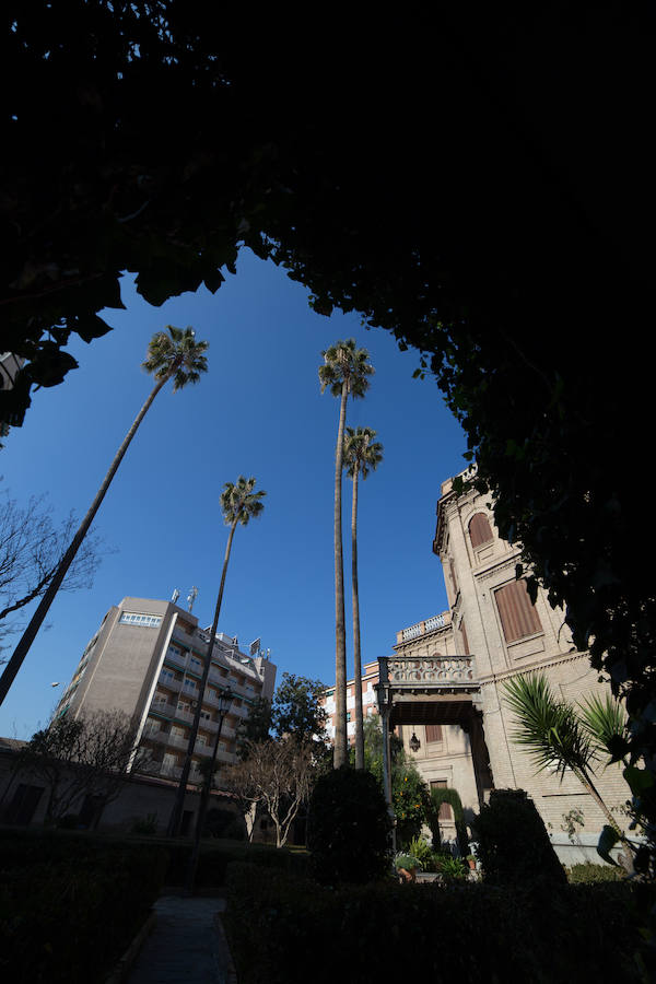 Vista general de las palmeras desde el arco de entrada de la calle al jardín.