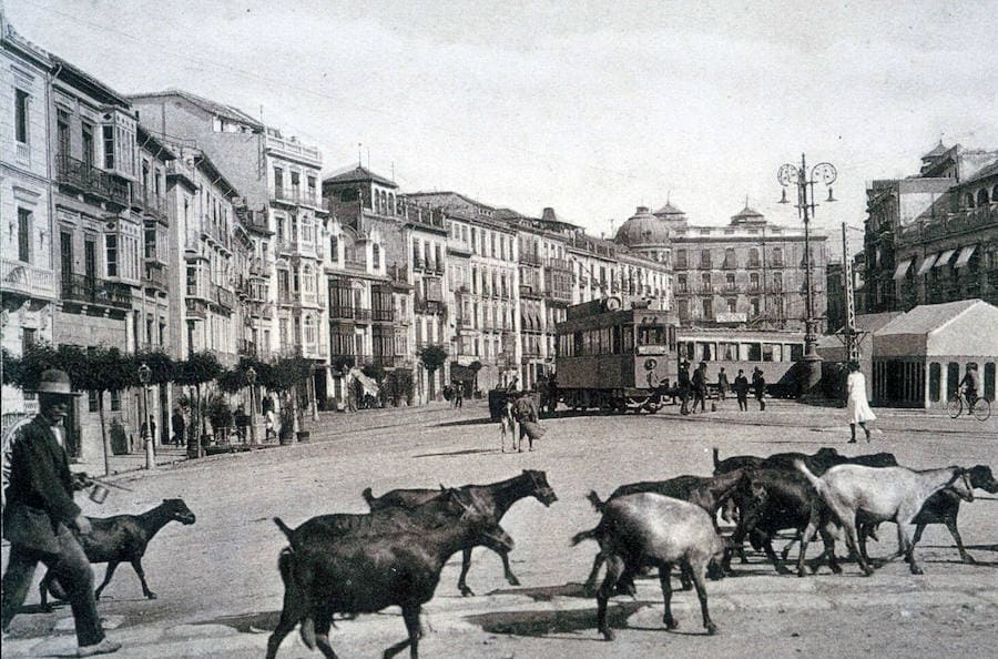 Fue de las redes más extensas de Europa, pues llegó a contar con más de 130 km de longitud, que daba respuesta eficaz al transporte de pasajeros y mercancías. Se inauguró en 1904 y su último viaje fue en 1971.