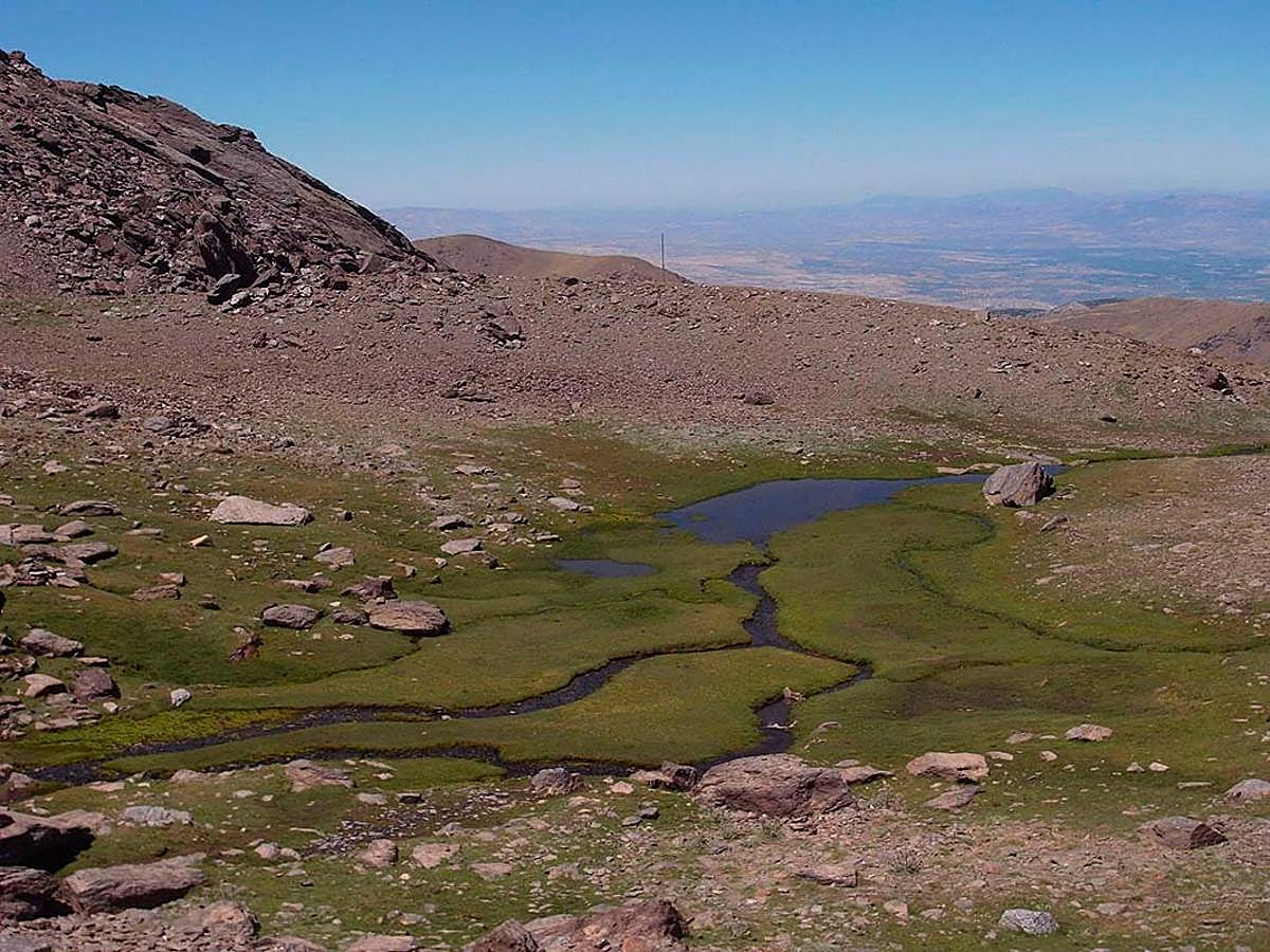 Lagunillo bajo de la Ermita