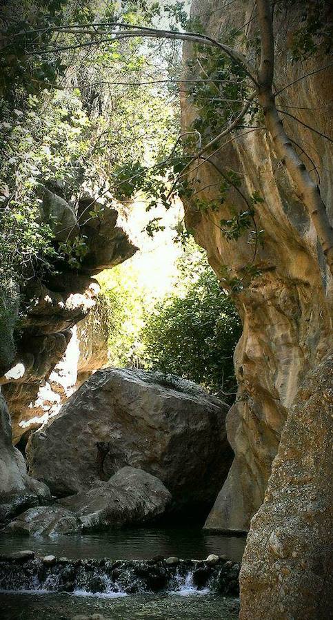 Pueblos blancos, castillos y fortalezas, parajes naturales y mucho más, a menos de dos horas de Granada capital