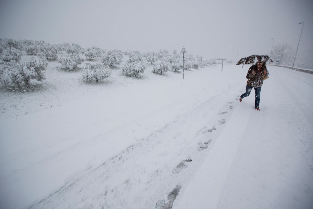 Las nevadas sobre Granada han dejado siempre unas estampas de espectacualr belleza. Recogemos ahora una serie de fotografías de incuestionable valor.