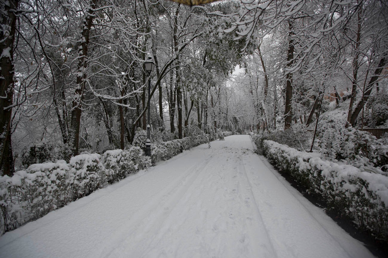 Las nevadas sobre Granada han dejado siempre unas estampas de espectacualr belleza. Recogemos ahora una serie de fotografías de incuestionable valor.