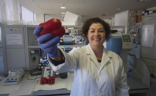 Ana Vigil, en el laboratorio del CIDAF, ubicado en el Parque Tecnológico de la Salud de Granada. 