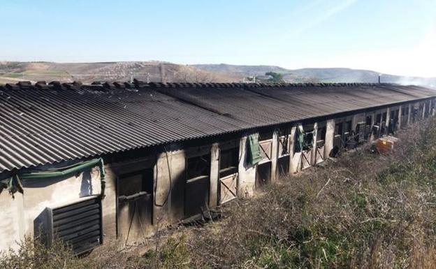 Granja de pollos incenciada en Toledo. 