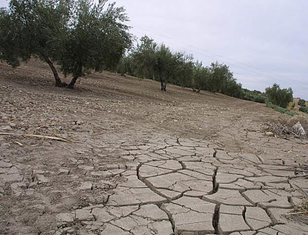 Terreno cuarteado por la ausencia de precipitaciones en una imagen de archivo. 