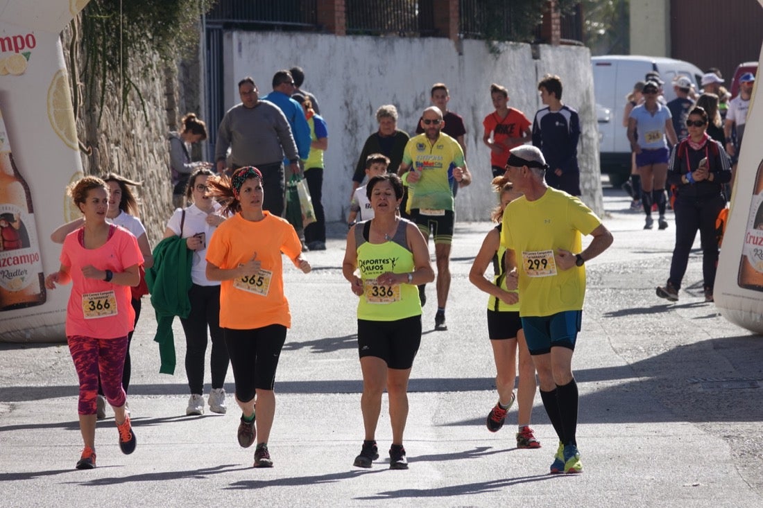 El Valle de Lecrín acoge una modesta carrera con 350 participantes entre corredores absolutos, senderistas y chiquillos