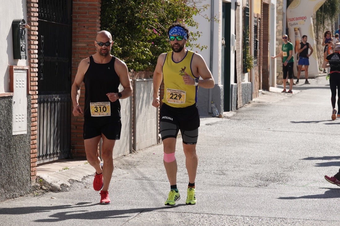 El Valle de Lecrín acoge una modesta carrera con 350 participantes entre corredores absolutos, senderistas y chiquillos