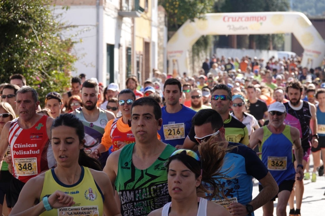 El Valle de Lecrín acoge una modesta carrera con 350 participantes entre corredores absolutos, senderistas y chiquillos