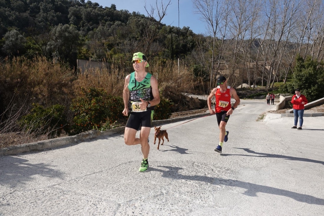 El Valle de Lecrín acoge una modesta carrera con 350 participantes entre corredores absolutos, senderistas y chiquillos