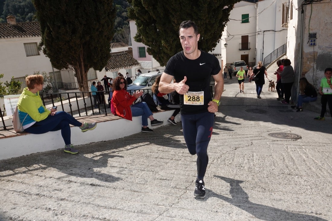 El Valle de Lecrín acoge una modesta carrera con 350 participantes entre corredores absolutos, senderistas y chiquillos