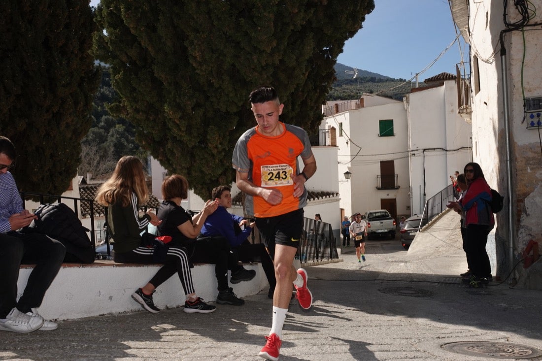 El Valle de Lecrín acoge una modesta carrera con 350 participantes entre corredores absolutos, senderistas y chiquillos