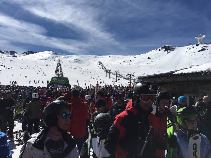 El buen tiempo y el puente de Andalucía han provocado que la estación de esquí granadina presente una aspecto espectacular, con miles de esquiadores y visitantes disfrutando de Sierra Nevada.