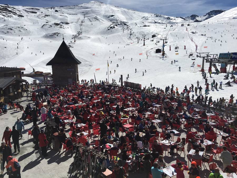 El buen tiempo y el puente de Andalucía han provocado que la estación de esquí granadina presente una aspecto espectacular, con miles de esquiadores y visitantes disfrutando de Sierra Nevada.