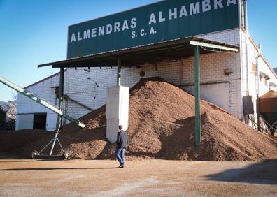 Imagen secundaria 1 - La agricultura se pasa a los almendrales para mantenerse viva