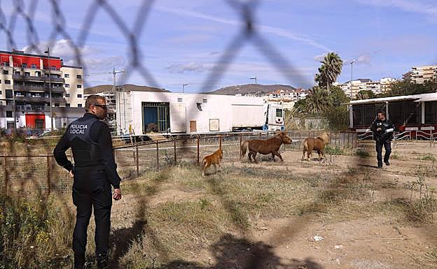 La Policía Local acudió a informar al circo de que tenía que marcharse