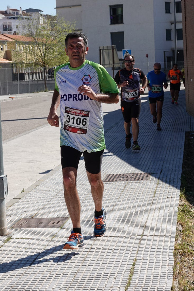 A algunos participantes parece que los 10 kilómetros del reccorido de la prueba de fondo de Loja se les hace leve a tenor de sus sonrisas y buen rollo. Otros en cambio parecen sufrir más o simplemente se concentran para disfrutar de la carrera.