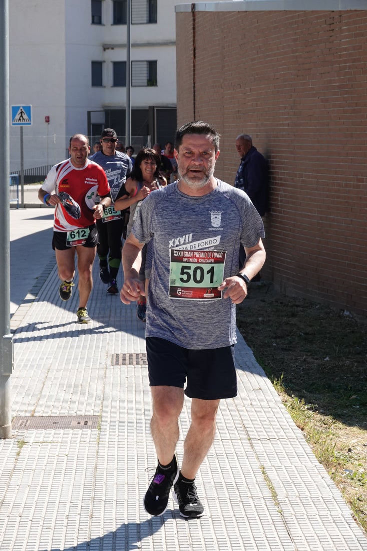 El reguero de atletas es amplio. Las piernas pesan en algunos momentos pero el objetivo de llegar a meta se mantiene. Si has participado en la carrera de fondo de Loja, prueba suerte a ver si te hemos retratado a lo largo del recorrido.