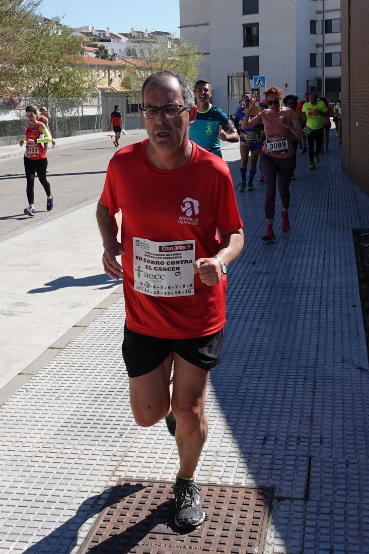 El reguero de atletas es amplio. Las piernas pesan en algunos momentos pero el objetivo de llegar a meta se mantiene. Si has participado en la carrera de fondo de Loja, prueba suerte a ver si te hemos retratado a lo largo del recorrido.