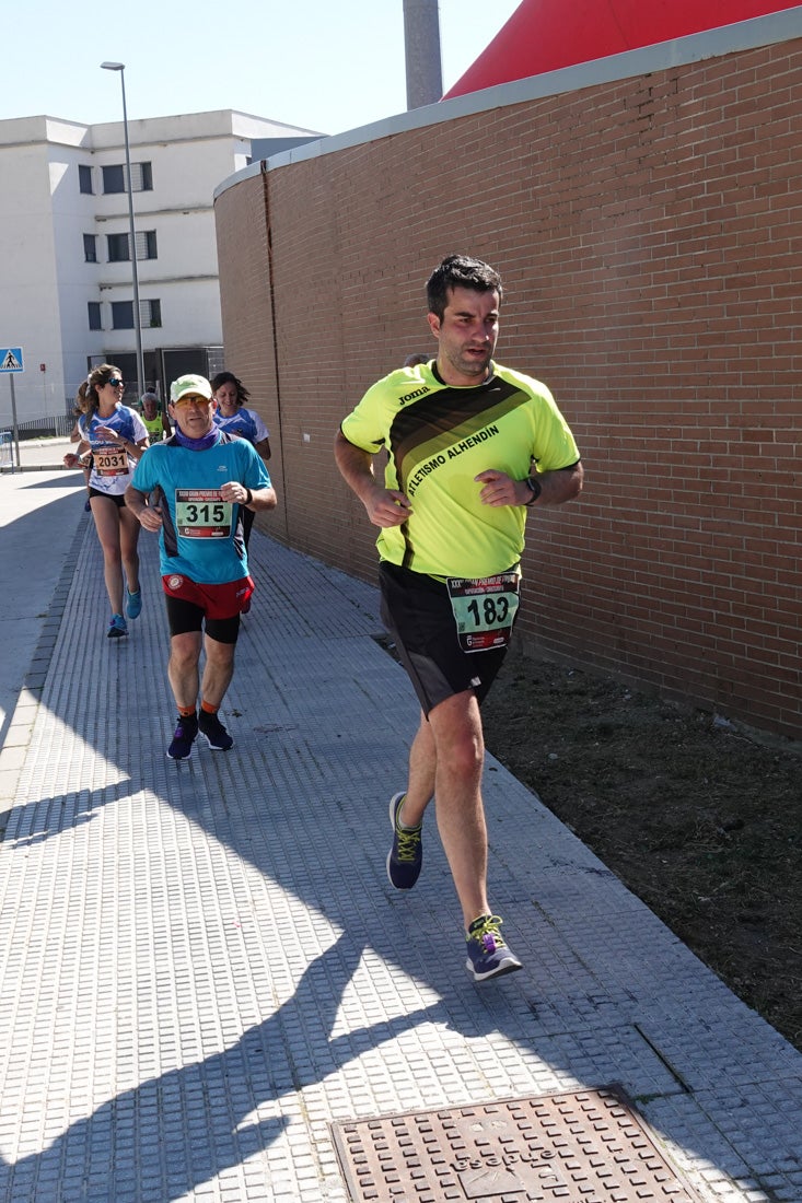 El reguero de atletas es amplio. Las piernas pesan en algunos momentos pero el objetivo de llegar a meta se mantiene. Si has participado en la carrera de fondo de Loja, prueba suerte a ver si te hemos retratado a lo largo del recorrido.