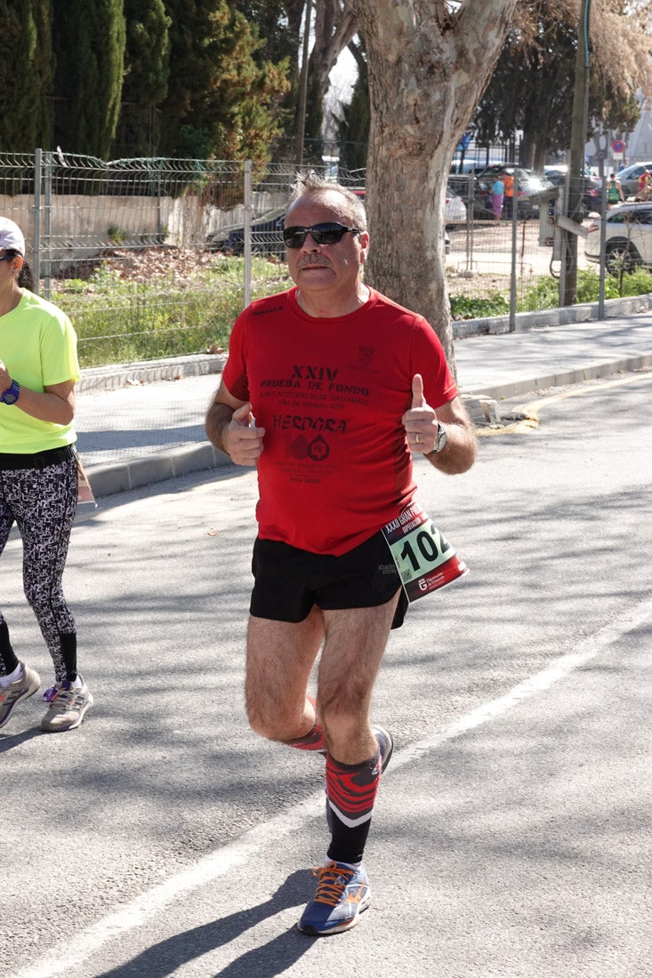 El reguero de atletas es amplio. Las piernas pesan en algunos momentos pero el objetivo de llegar a meta se mantiene. Si has participado en la carrera de fondo de Loja, prueba suerte a ver si te hemos retratado a lo largo del recorrido.