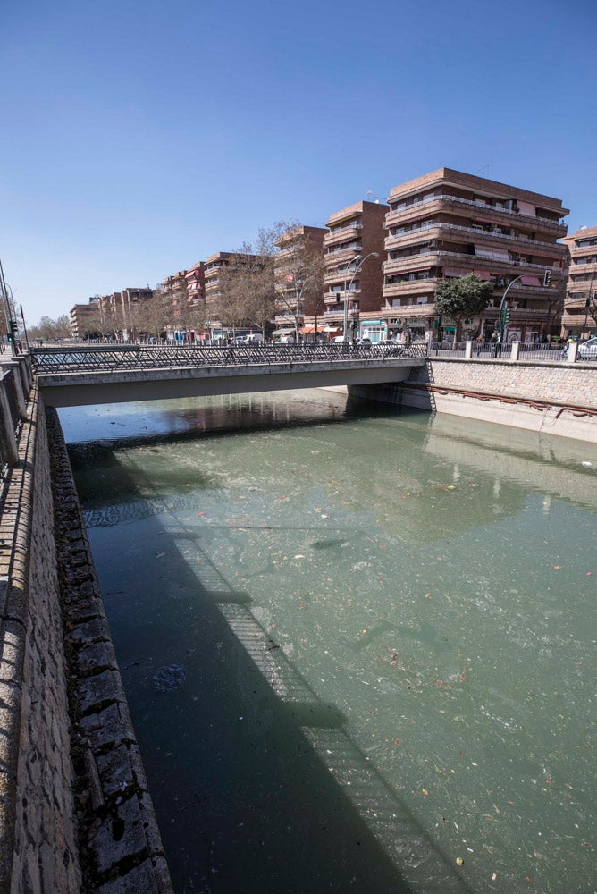 El Ayuntamiento de Granada ha invertido 145.000 euros en la limpieza del río, del que se han sacado veinte toneladas de basura, entre las que incluye bicicletas y colchones.
