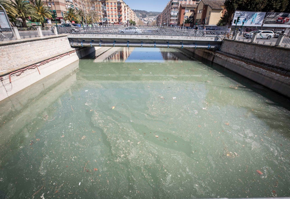 El Ayuntamiento de Granada ha invertido 145.000 euros en la limpieza del río, del que se han sacado veinte toneladas de basura, entre las que incluye bicicletas y colchones.