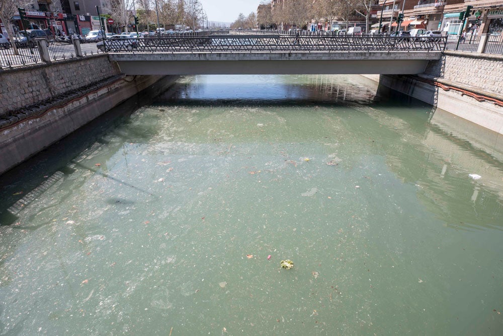 El Ayuntamiento de Granada ha invertido 145.000 euros en la limpieza del río, del que se han sacado veinte toneladas de basura, entre las que incluye bicicletas y colchones.