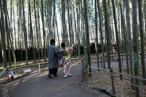 Dos visitantes con el atuendo típico de Japón pasean entre las cañas gigantes. 