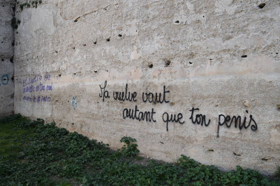 Algunos de los grafitis localizados en la muralla de la Alberzana, otros espacios del Albaicín y el Centro. 