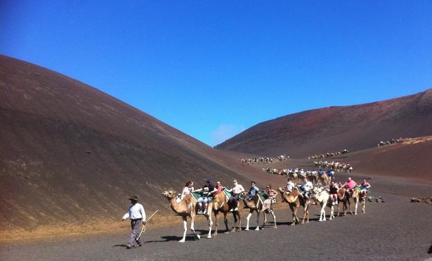 Un camellero guía a una caravana de turistas por el parque nacional de Timanfaya, en la isla de Lanzarote. :: r. c.