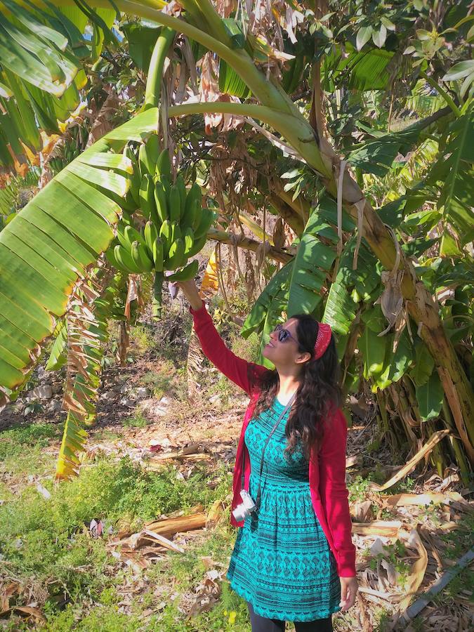 Patricia Rojas con las plataneras de la Costa Tropical (Granada).