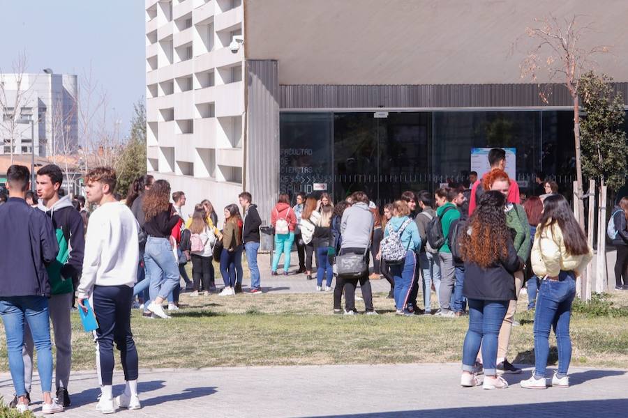 La Universidad granadina oferta más de ochenta grados diferentes (incluidos los dobles títulos)