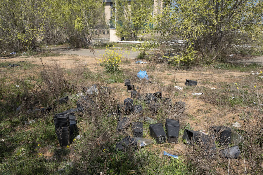 Cientos de bolsas se dispersan por distintos puntos del barrio granadino con restos de las plantaciones de marihuana