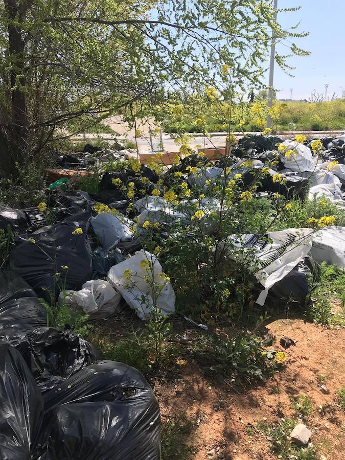 Cientos de bolsas se dispersan por distintos puntos del barrio granadino con restos de las plantaciones de marihuana