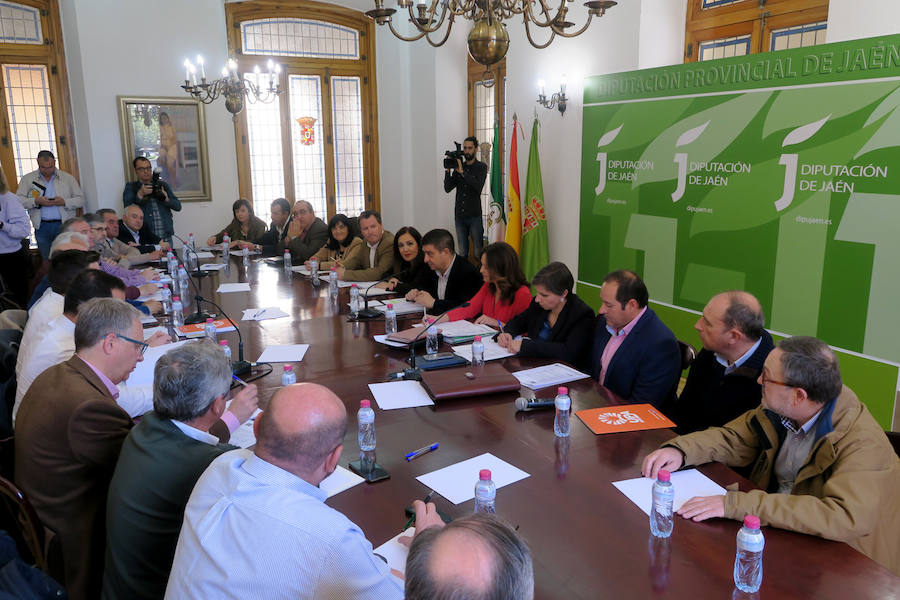 «Está sucediendo algo, no es lógico que baje el precio del aceite cuando hay un 7% menos»