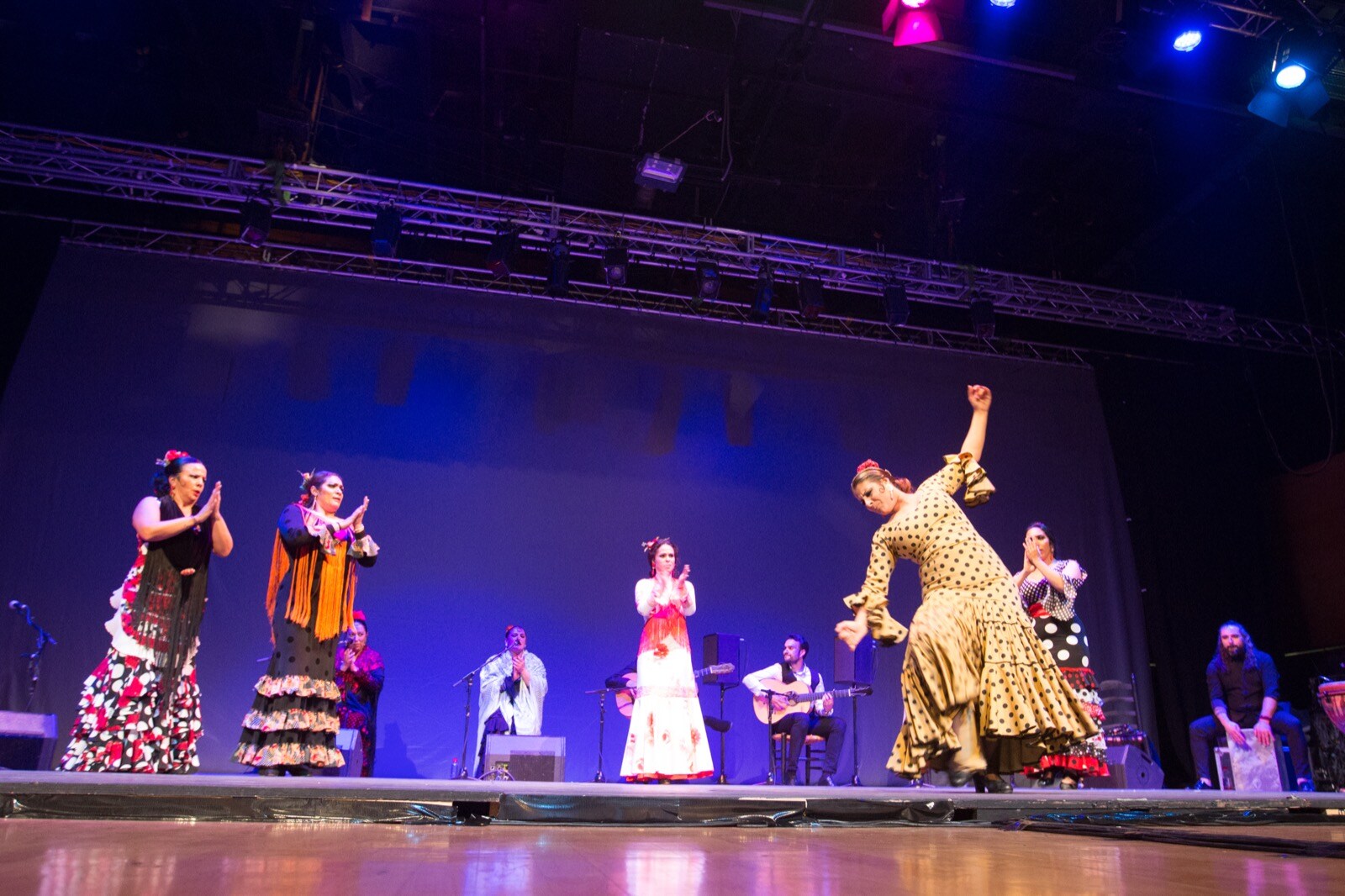 El Palacio de Congresos acogió uno de los grandes eventos flamencos previstos en 2019 con Manuel Santiago Maya como protagonista