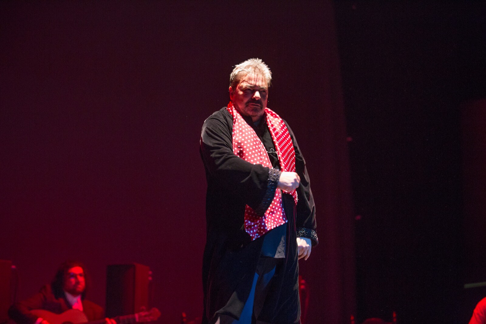 El Palacio de Congresos acogió uno de los grandes eventos flamencos previstos en 2019 con Manuel Santiago Maya como protagonista