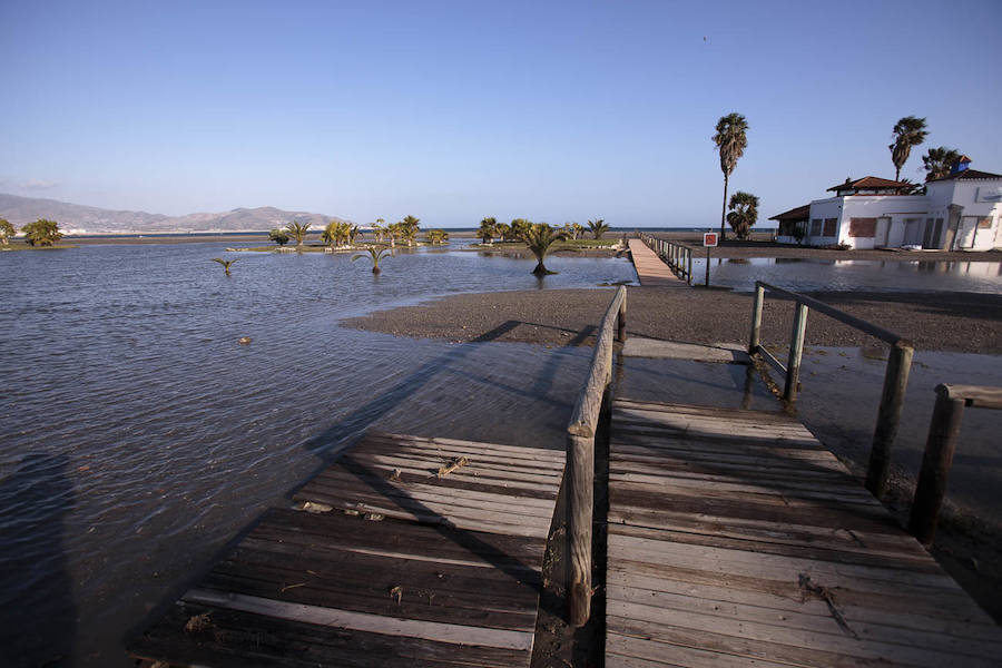 Todos han solicitado actuaciones urgentes para paliar los efectos del temporal, pero no tienen claro que éstas vaya a llegar antes del Domingo de Ramos 