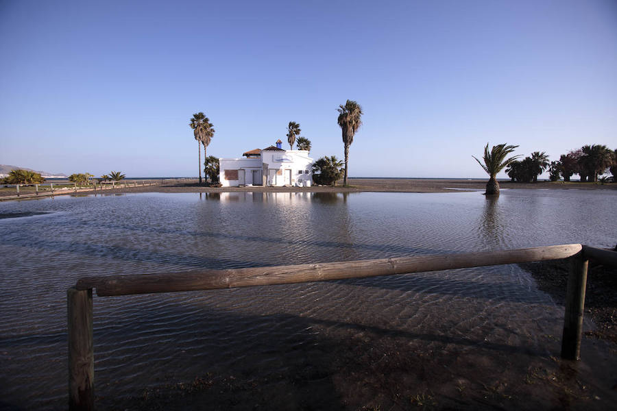 Todos han solicitado actuaciones urgentes para paliar los efectos del temporal, pero no tienen claro que éstas vaya a llegar antes del Domingo de Ramos 