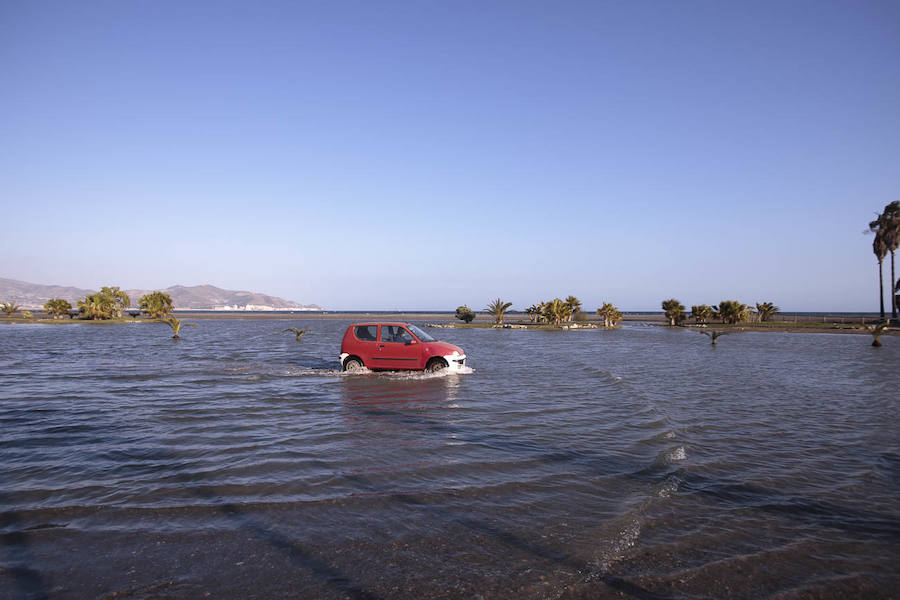 Todos han solicitado actuaciones urgentes para paliar los efectos del temporal, pero no tienen claro que éstas vaya a llegar antes del Domingo de Ramos 
